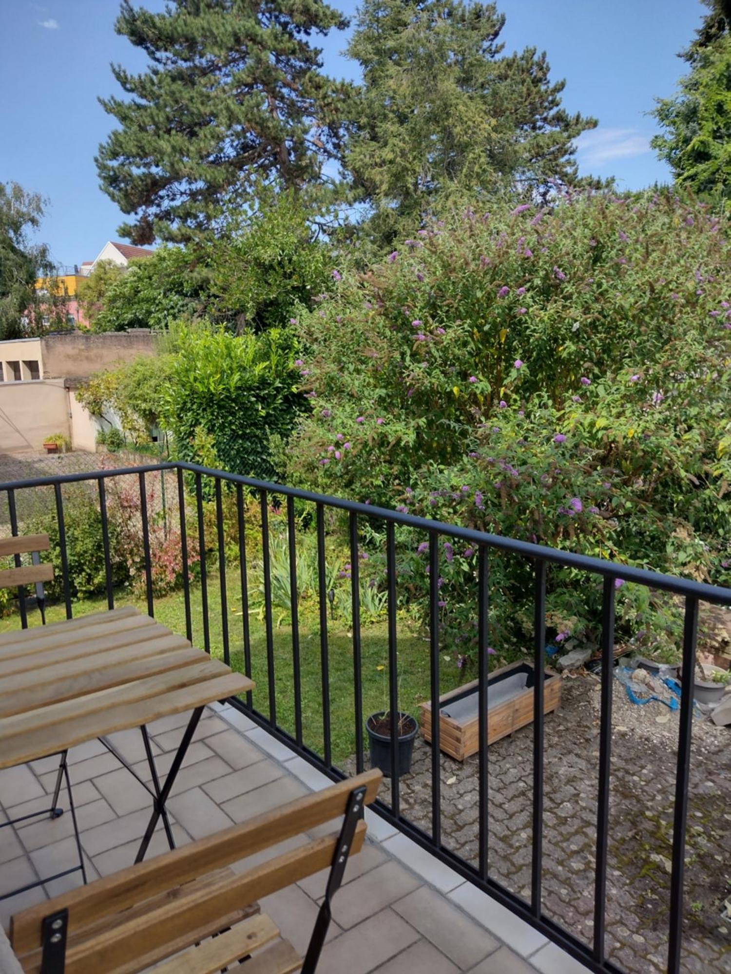 Appartement Madame Du Barry - Proche Gare, Zenith Et Chu Strasbourg