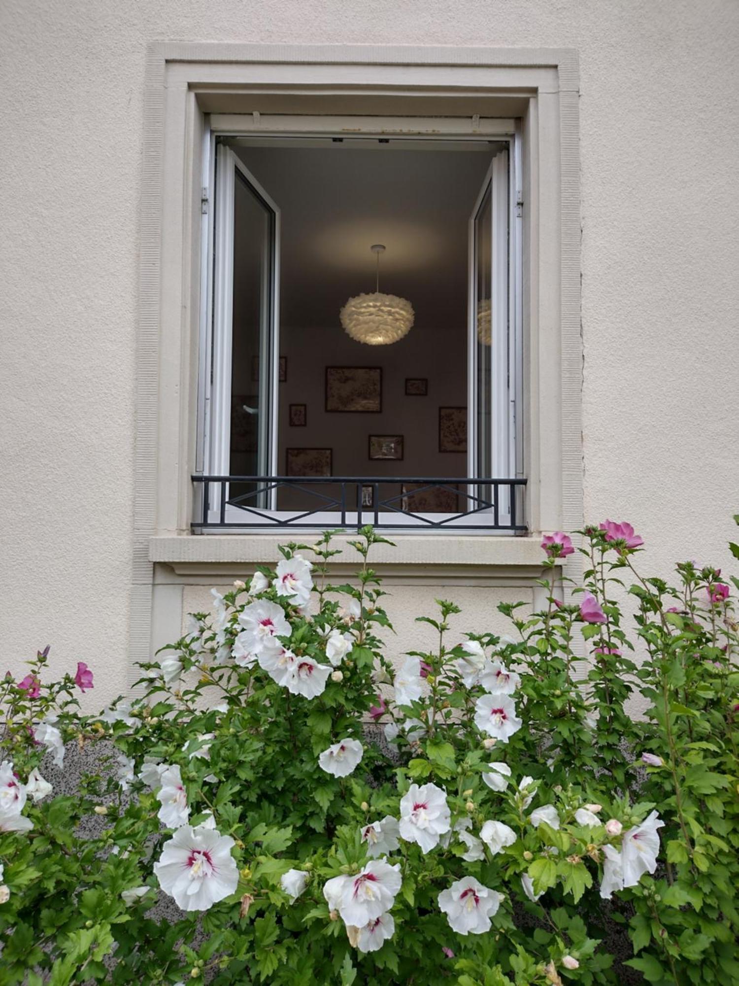 Appartement Madame Du Barry - Proche Gare, Zenith Et Chu Strasbourg